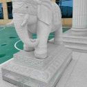 江苏 白麻花岗岩动物异形石雕-大象